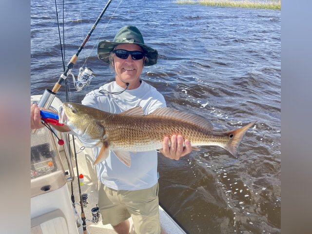 Listing image 1267268