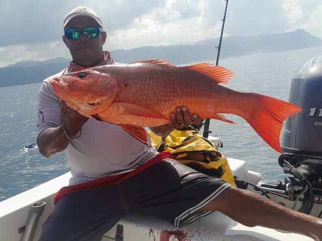 Listing image 1267402