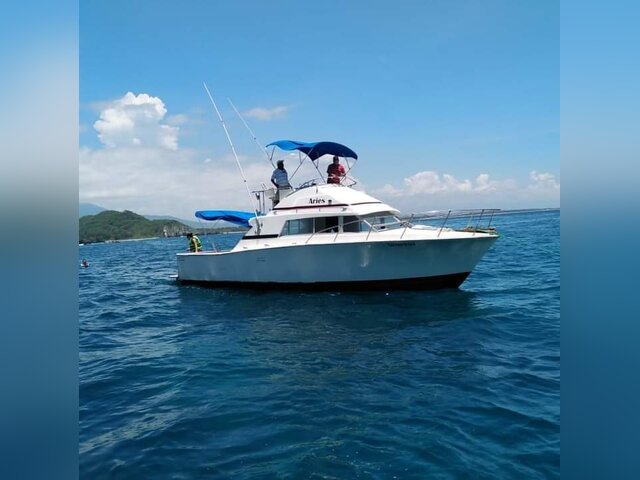 Listing image 1267634