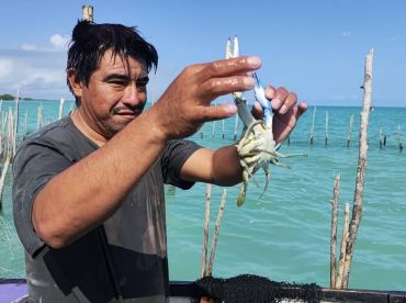 Bull Shark Adventure Tours – Belize