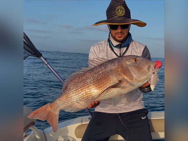 Listing image 1267881