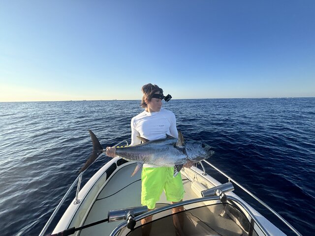 Listing image 1269131