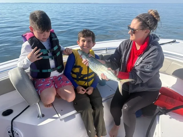 Listing image 1280459