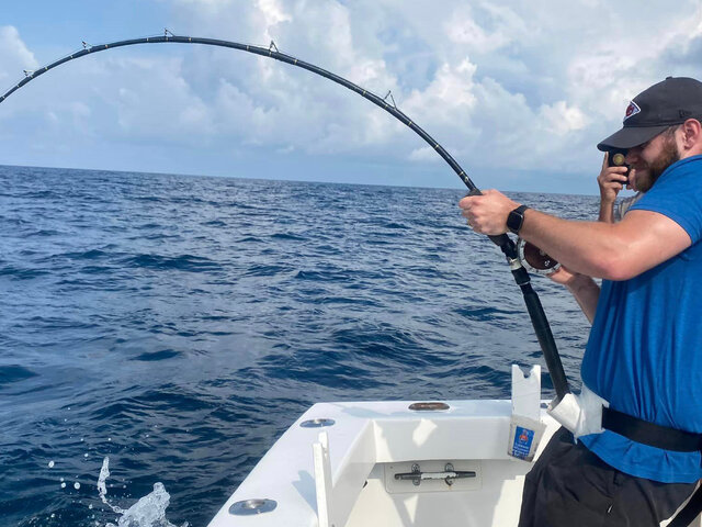 Listing image 1270160