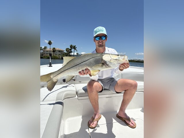 Listing image 1273544