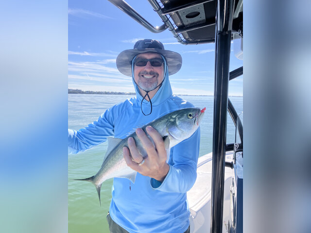 Listing image 1290709