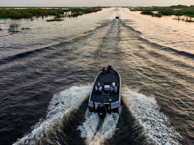 Listing image 1291251