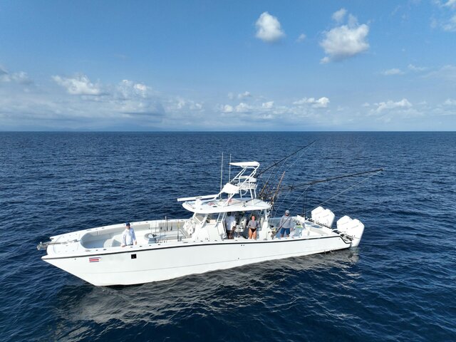 Listing image 1274878