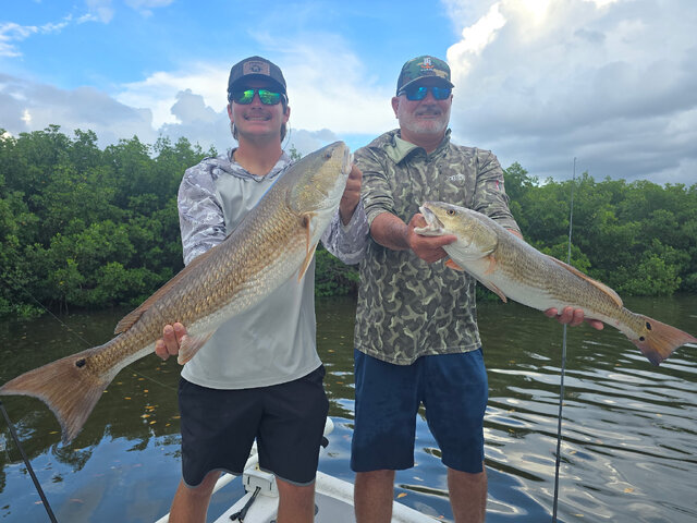 Listing image 1275325