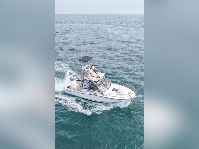 Listing image 1275419