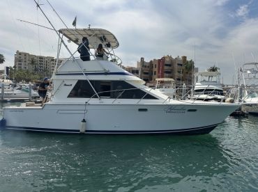 Adrenaline 40' Ultimate Sportfisher GREAT CAP thumbnail