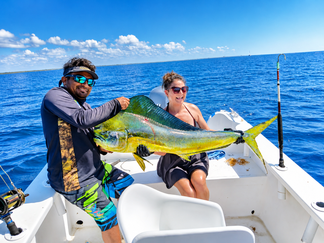 Listing image 1372793