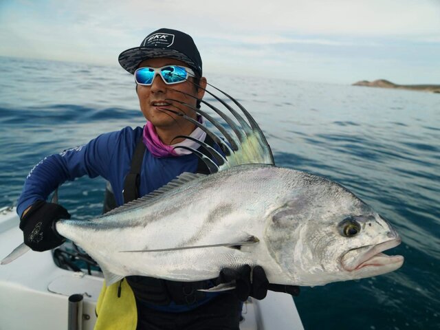 Listing image 1295661