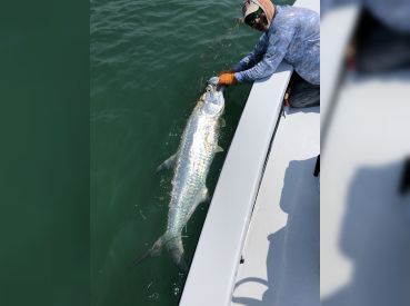 Mile Marker 27 Fishing Charters thumbnail