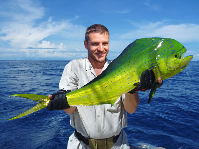 Listing image 1276747