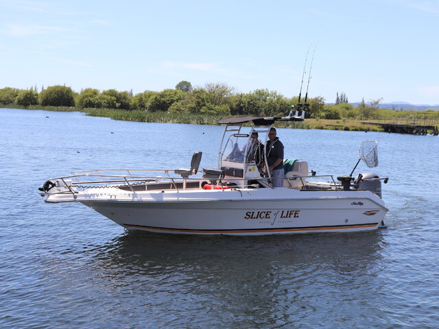 Listing image 1277669