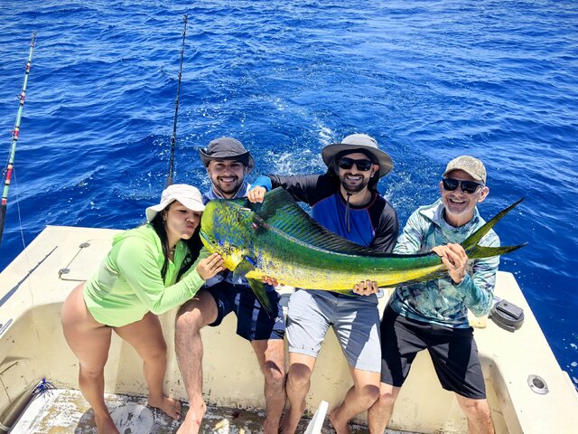 Listing image 1277368