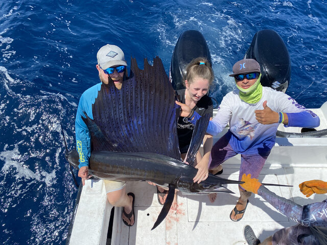 Listing image 1278126