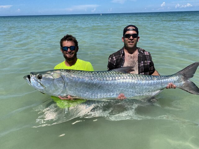 Listing image 1279394