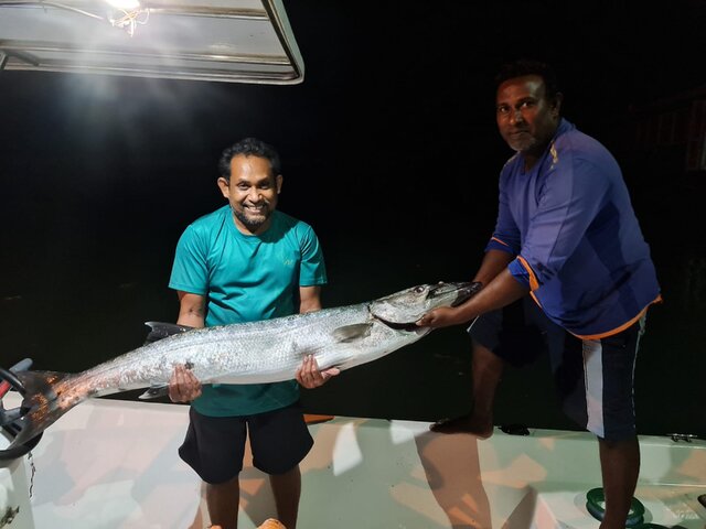 Listing image 1279248