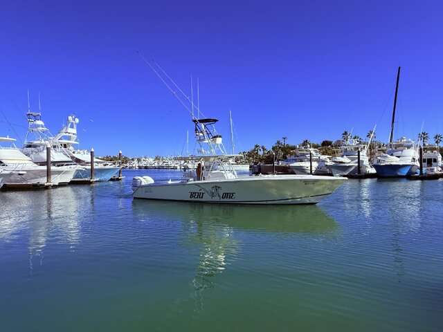 Listing image 1279761