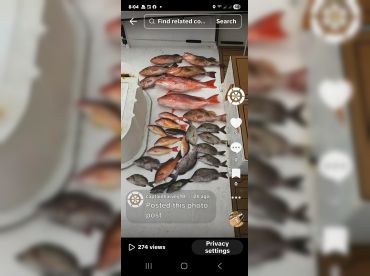 Captain Harvey Fishing Charters