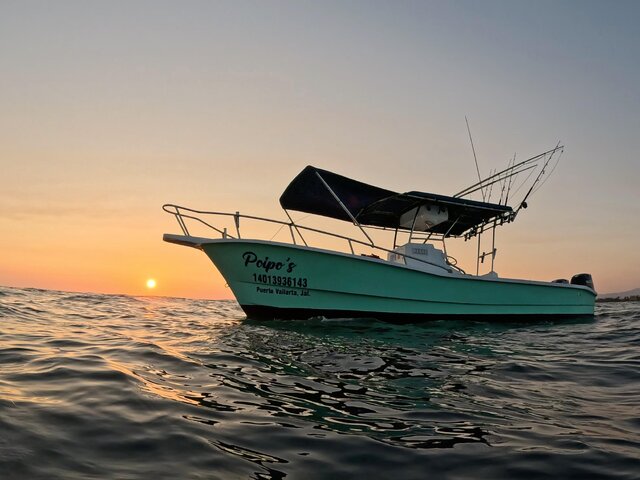 Listing image 1282888