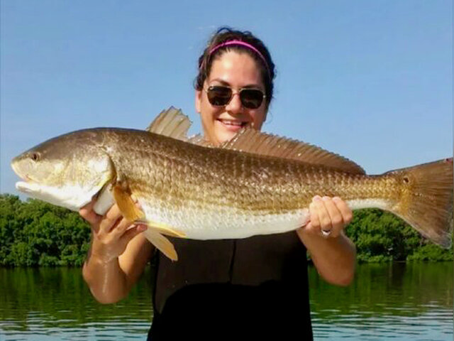 Listing image 1310267