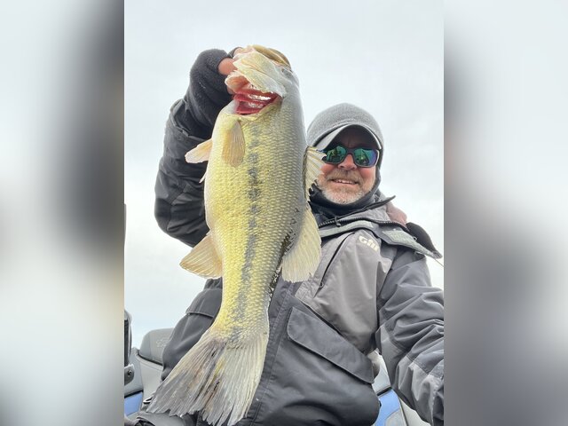 Listing image 1281961