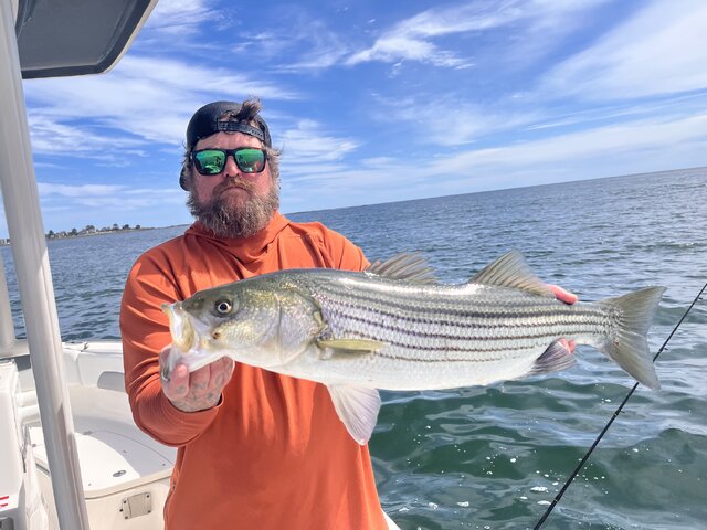 Listing image 1283780