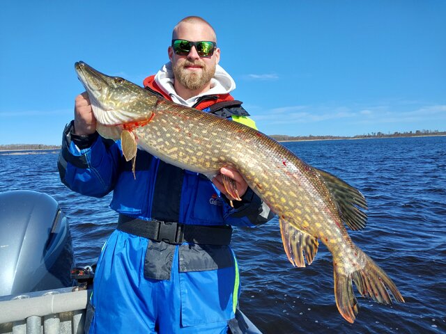 Listing image 1282490