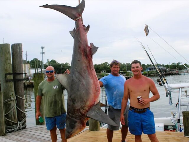 Listing image 1284904