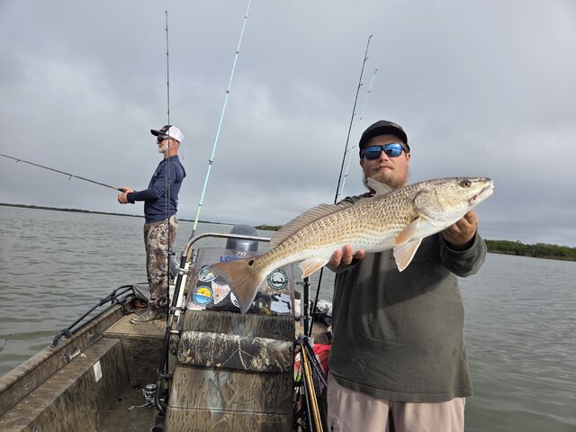 Listing image 1282743