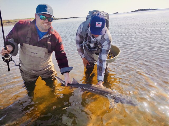 Listing image 1283788