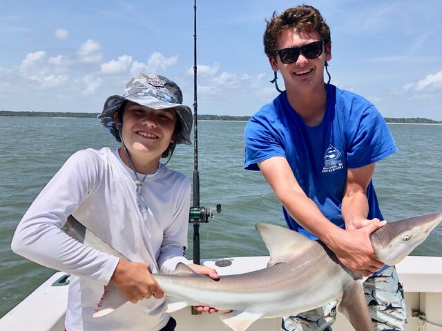 Listing image 1283881