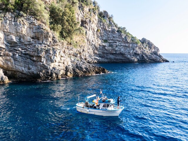 Listing image 1283992