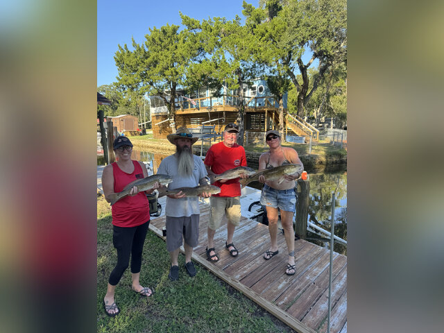 Listing image 1284031