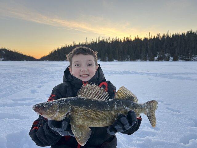 Listing image 1284577