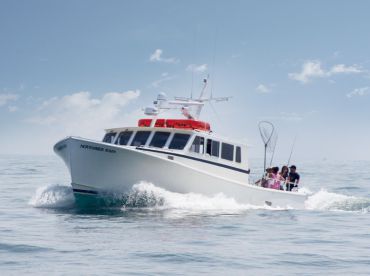 NOVEMBER RAIN CHARTERS thumbnail