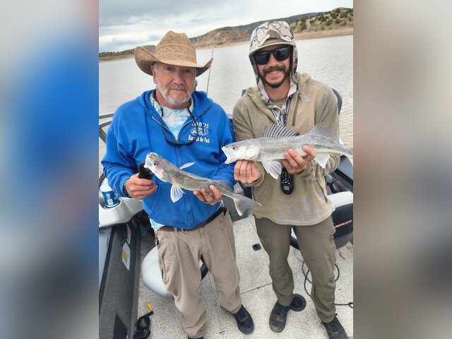 Listing image 1334819