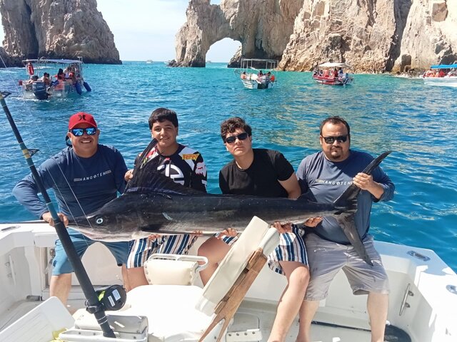 Listing image 1285065