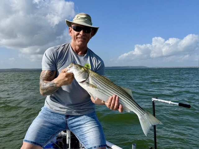 Listing image 1303869