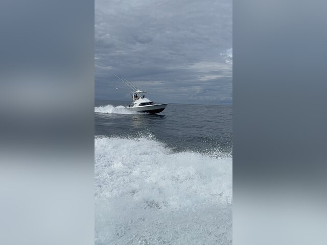 Listing image 1285638