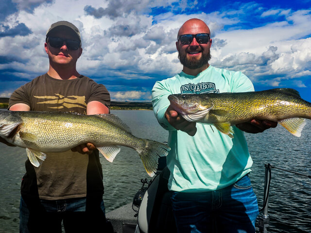 Listing image 1286275