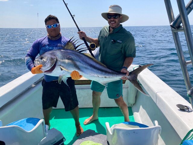 Listing image 1286792