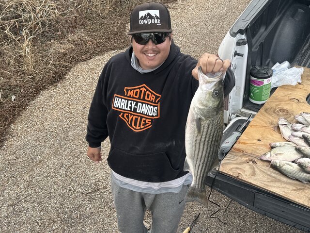 Listing image 1298252