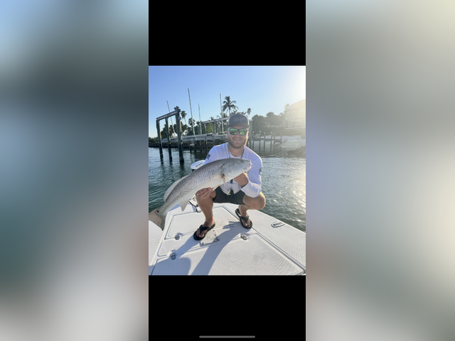 Listing image 1313757