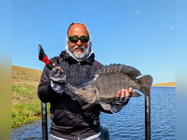 Listing image 1291492