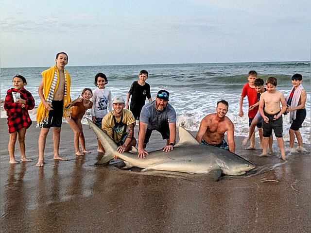 Listing image 1289957