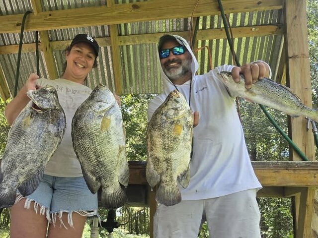 Listing image 1290146